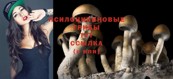 ECSTASY Алексеевка
