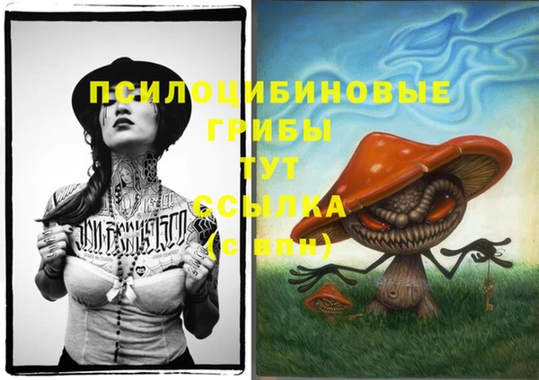 соль ск Алексин