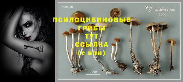 бошки Алзамай
