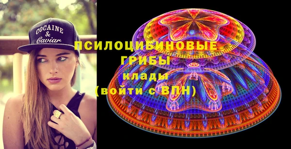 соль ск Алексин