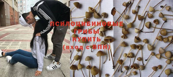 соль ск Алексин