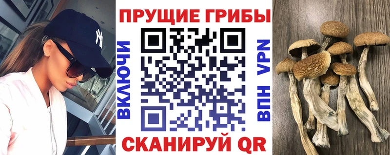 это формула  Медынь  Псилоцибиновые грибы ЛСД  блэк спрут  